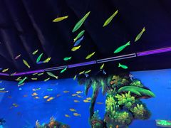 -常州海昌海洋探索馆