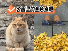 -木塔寺遗址生态公园