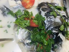 -全乐鱼馆·淳牌有机鱼直营店