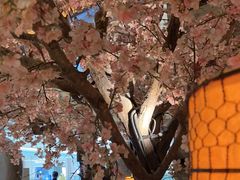 -桂满隴·站立的杭州(无锡八佰伴店)