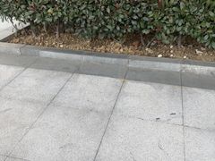 -皖北三胖地锅鸡(高速时代广场店)