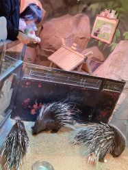 -酷嗒动物文化乐园(cutezoo西溪乐天城店)