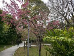 -福建鲤鱼洲酒店