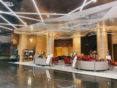 -南京禄口机场雅高铂尔曼大酒店