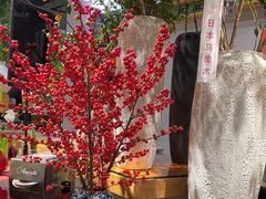 -弗劳尔花艺坊(龙涛店)