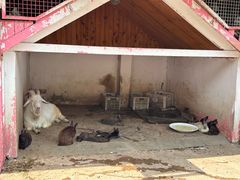 -金庭庄园酒店-停车场