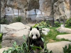 -香港海洋公园