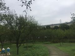 -秀丽东方