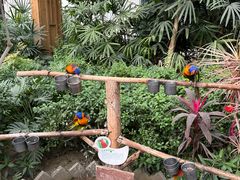 -南宫五洲植物乐园