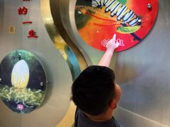 -上海昆虫博物馆