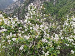 -沣峪森林公园龙潭戏水景区