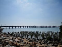 -宝安西湾红树林湿地公园