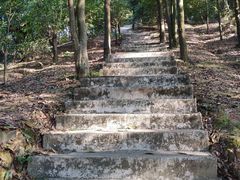 -广州市帽峰山景区