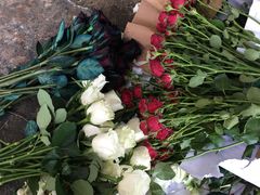 -三圣花乡旅游区