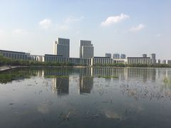 -尚贤河湿地