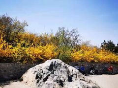 -北京西山国家森林公园