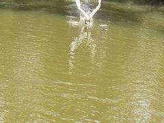 -海南槟榔谷黎苗文化旅游区
