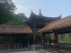 -铁山坪森林公园