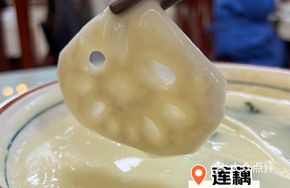 Brain Soup