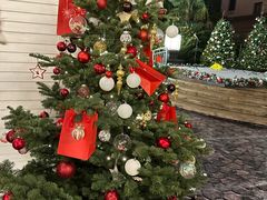 -LONG BAR 廊吧(外滩华尔道夫酒店)