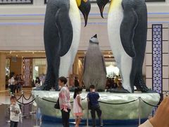 -广东省拱北口岸中国旅行社(华宾营业部)