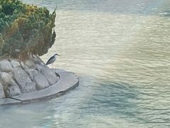 -苏州河梦清园环保主题公园