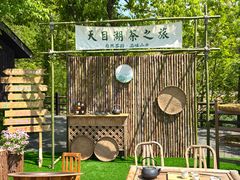 -天目湖山水园