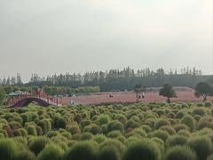 -嘉北郊野公园