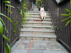 -广州都喜泰丽温泉度假酒店