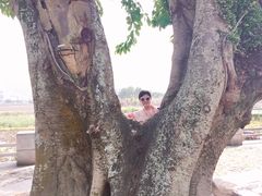 -龙环葡韵住宅式博物馆