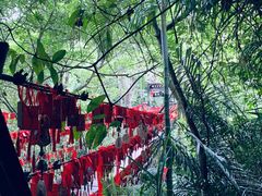 -呀诺达热带雨林