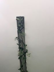 -逸丝风尚