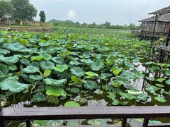 -军山湖云水间生态农业旅游景区