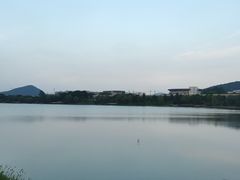 -羊山湖公园
