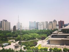-真爱中国餐馆·年华店(朱雀大街店)