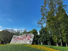 -东平国家森林公园