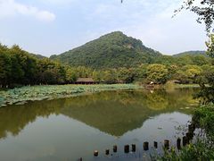 -八卦田遗址公园