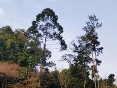 -保利石象湖景区