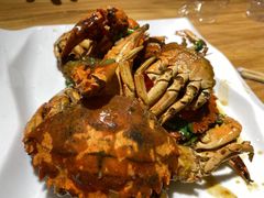 -东海章鱼馆(恒瑞街店)