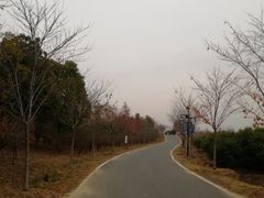 -金卉庄园