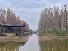 -黄海国家森林公园