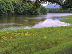 -福建鲤鱼洲酒店