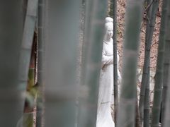 -敬亭山风景名胜区