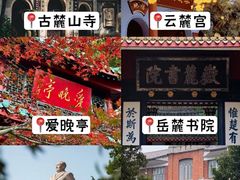 -橘子洲景区