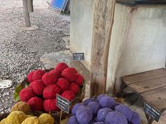 -大象粑粑造纸公园