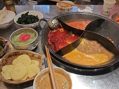 -朱光玉火锅馆(正弘城店)