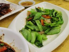 -姚林轩
