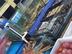 -京深海鲜市场(光彩路店)
