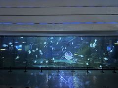 -海合安成都极地海洋公园