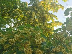 -长春世界雕塑园冰雪艺术天地